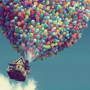 Meet your Posher, Evelyn